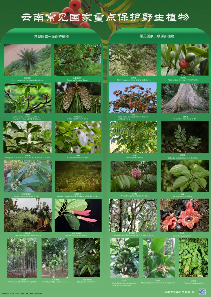 以案普法：危害国家重点；；；；；；ぶ参镒